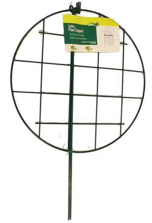 countrymax-3450146