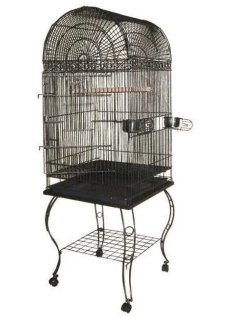 countrymax-3450304