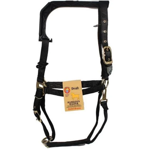 countrymax-3450748