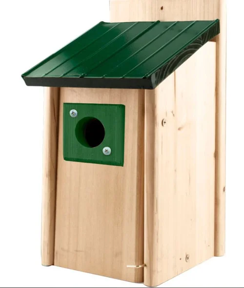 countrymax-3451802