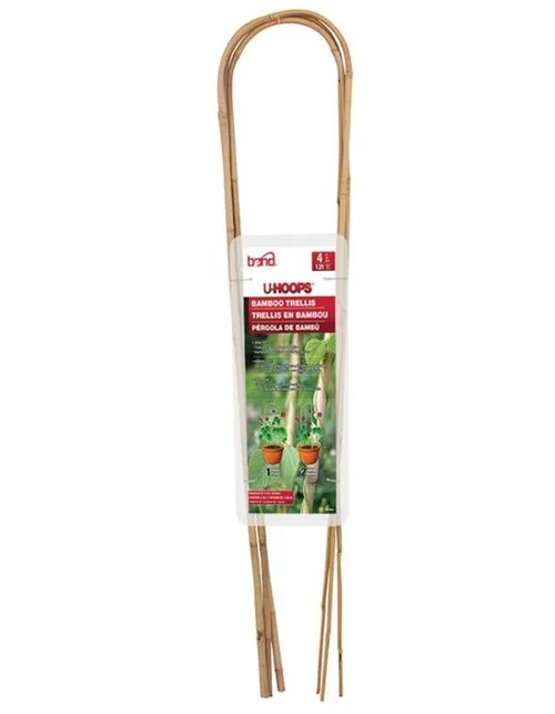 countrymax-3454436