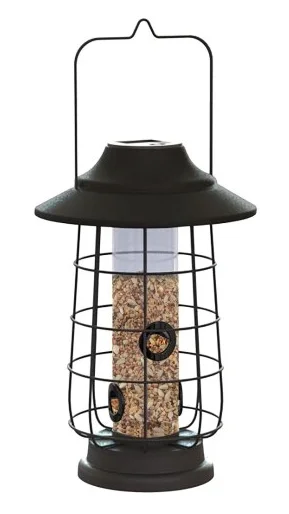 countrymax-3458305