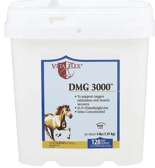 countrymax-3464676
