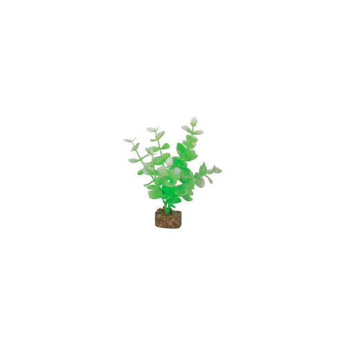 countrymax-3468386