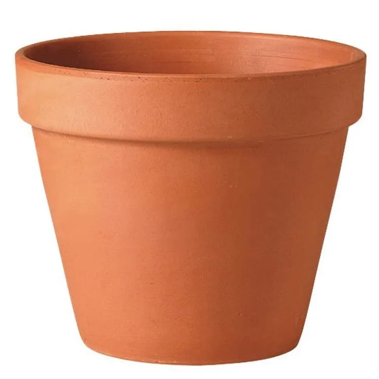 ellingtonagway3382281