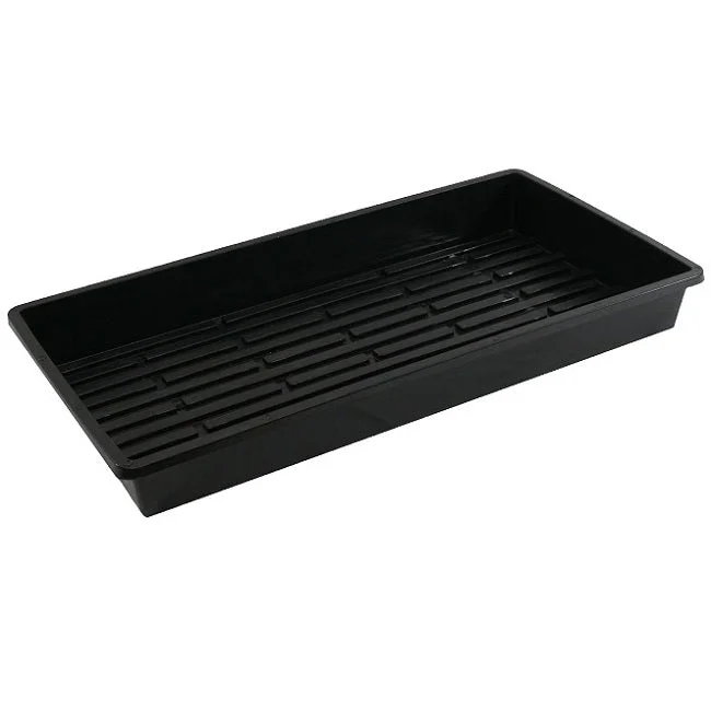 ellingtonagway3404662