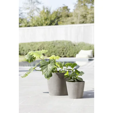 esbenshades-3441440