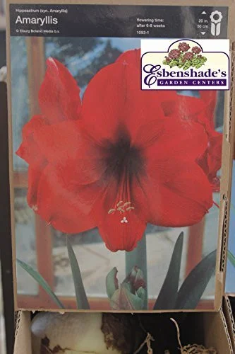 esbenshades-3450715
