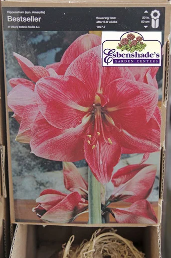 esbenshades-3456467
