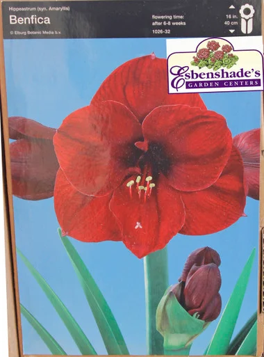 esbenshades-3456542