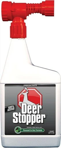 esbenshades-3463633