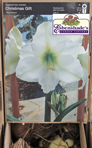 esbenshades-3463648