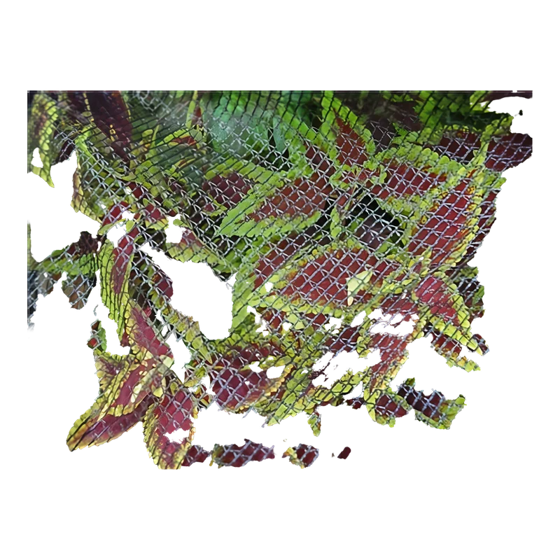garoppos3407419