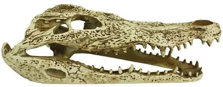 garoppos3412537