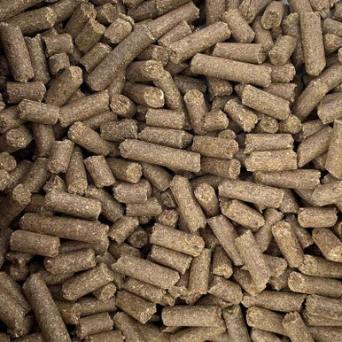 palmerfeed-3421409