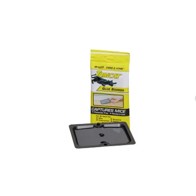 palmerfeed-3421732
