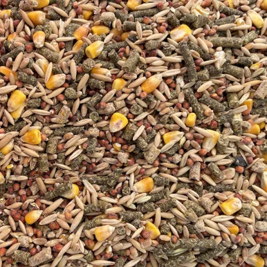 palmerfeed-3421767