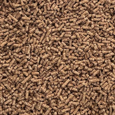 palmerfeed-3422157