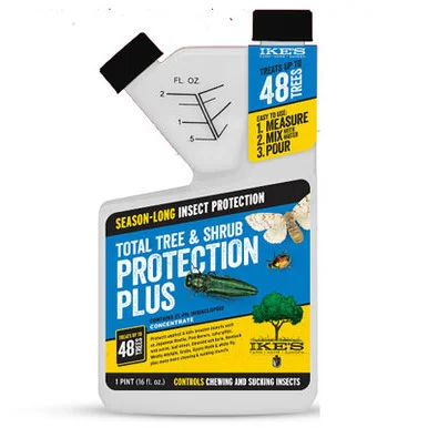 palmerfeed-3422266