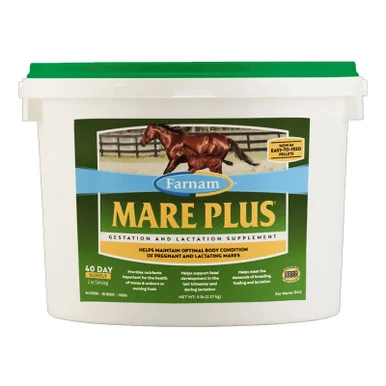 palmerfeed-3422803