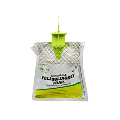 palmerfeed-3422862