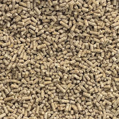 palmerfeed-3424060