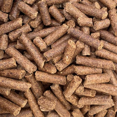 palmerfeed-3424580