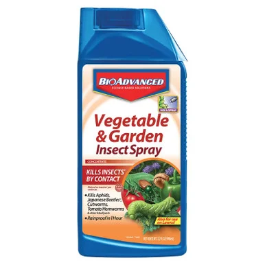 palmerfeed-3424693