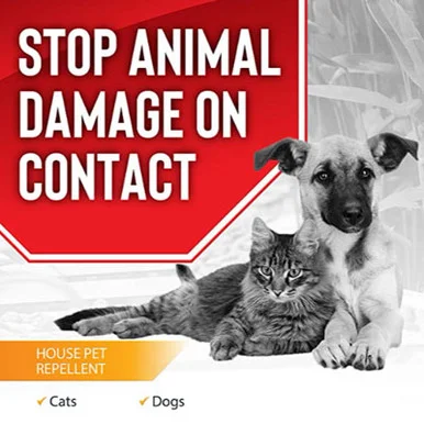 palmerfeed-3424752