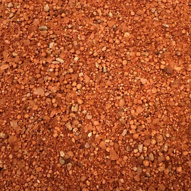 palmerfeed-3425150