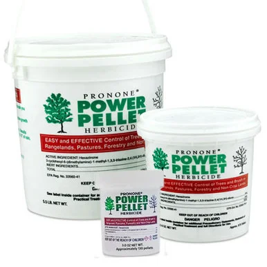 palmerfeed-3425349