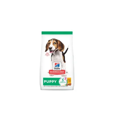 palmerfeed-3425408
