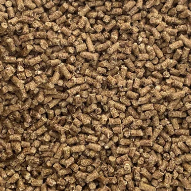 palmerfeed-3425834