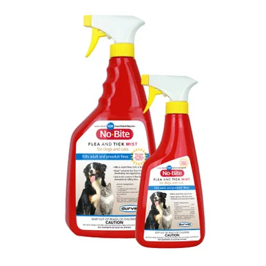 palmerfeed-3425846