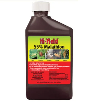 palmerfeed-3426329