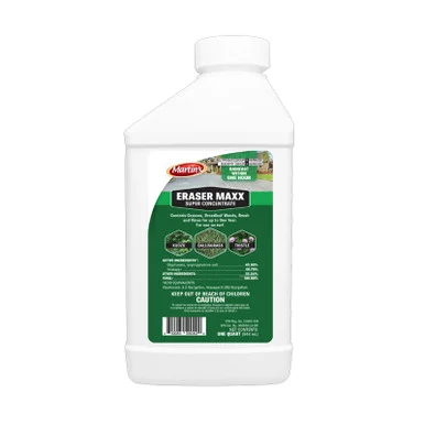 palmerfeed-3426584