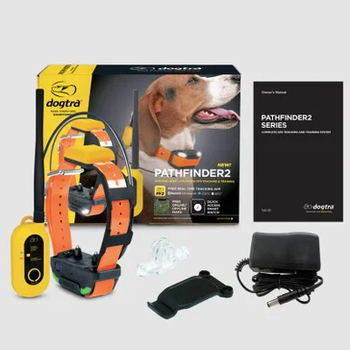 palmerfeed-3427632