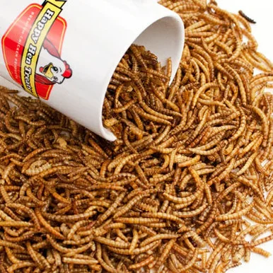palmerfeed-3428112