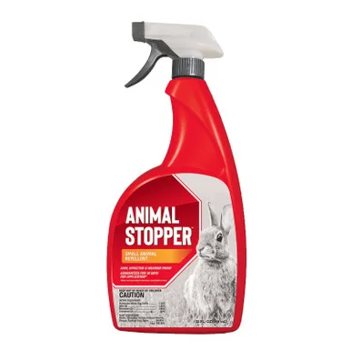 palmerfeed-3428176