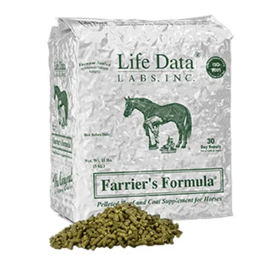 palmerfeed-3428416
