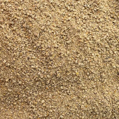 palmerfeed-3428617