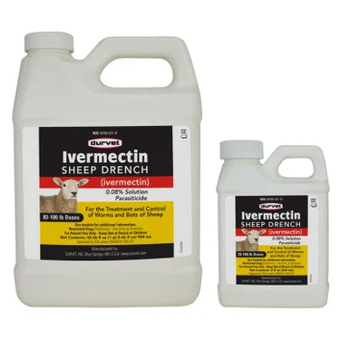 palmerfeed-3428644