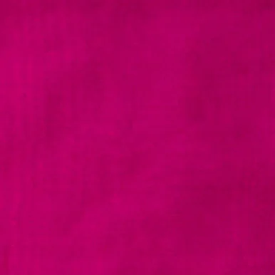 palmerfeed-3428753