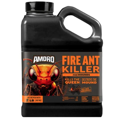 palmerfeed-3428995