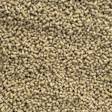 palmerfeed-3429132