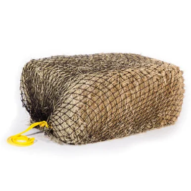 palmerfeed-3429198