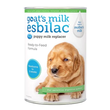 palmerfeed-3429285