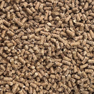 palmerfeed-3429324