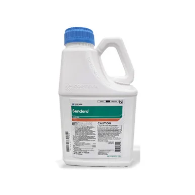 palmerfeed-3429340