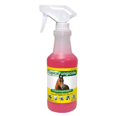 palmerfeed-3429544